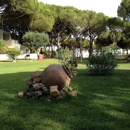 Apartamento Charming With Terrace And Pool 40 M² *